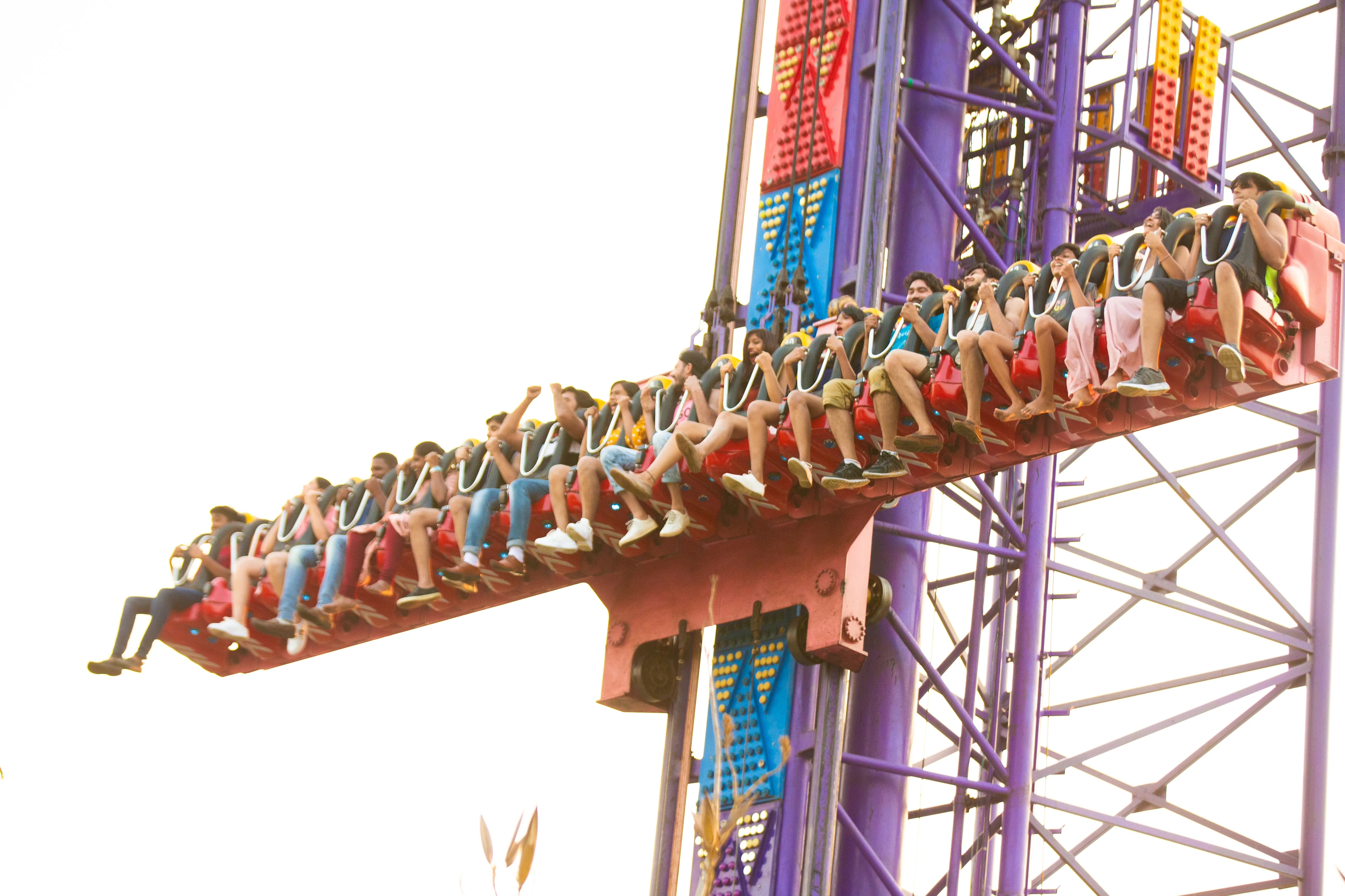 Wild Waters Land Rides